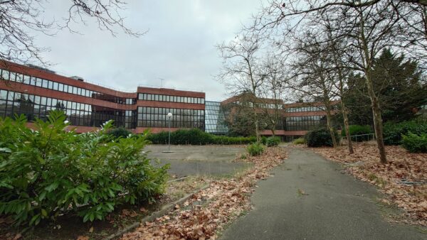 Wild Trigger - New Office